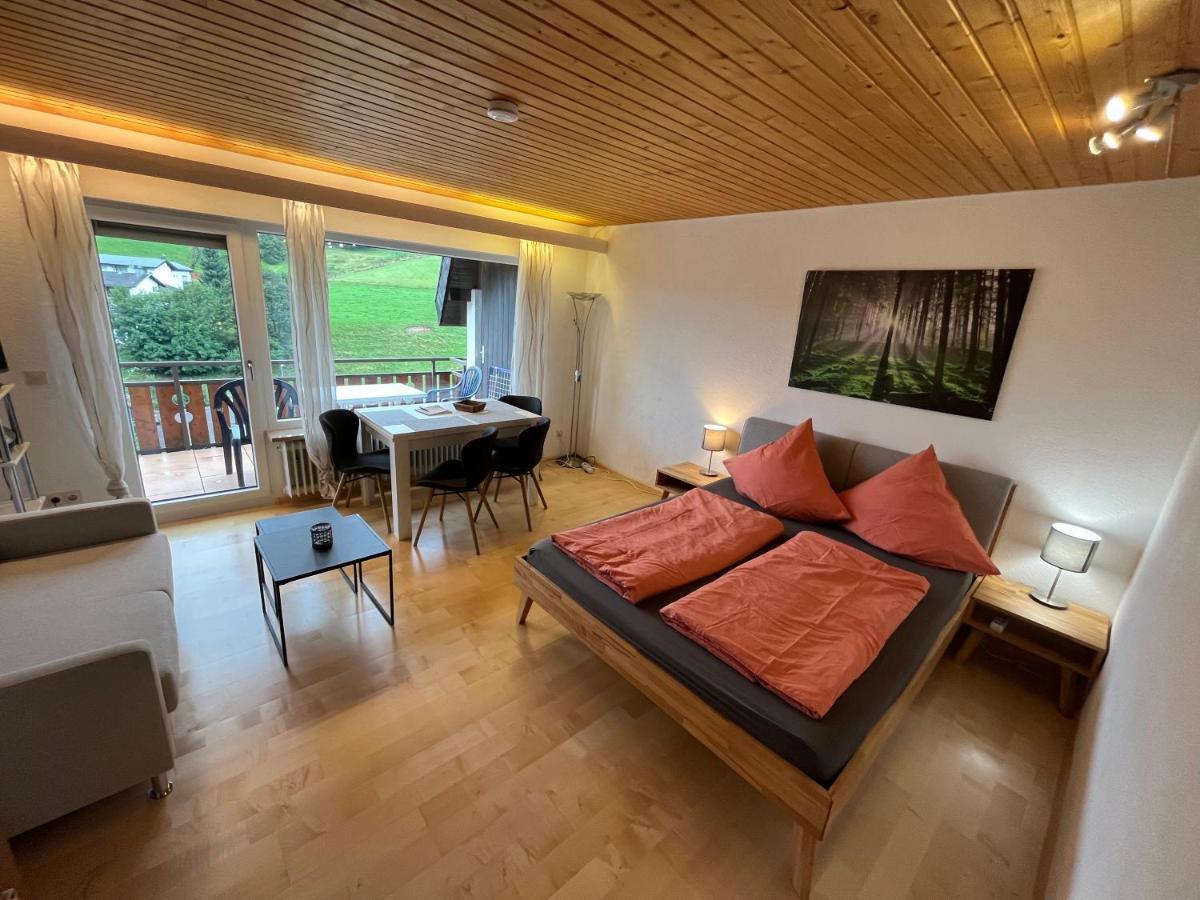 Haus Am Sonnenberg, Todtnauberg, Ferienwohnung 204, Direkt Am Skilift-Skipiste, Naehe Feldberg Exterior photo