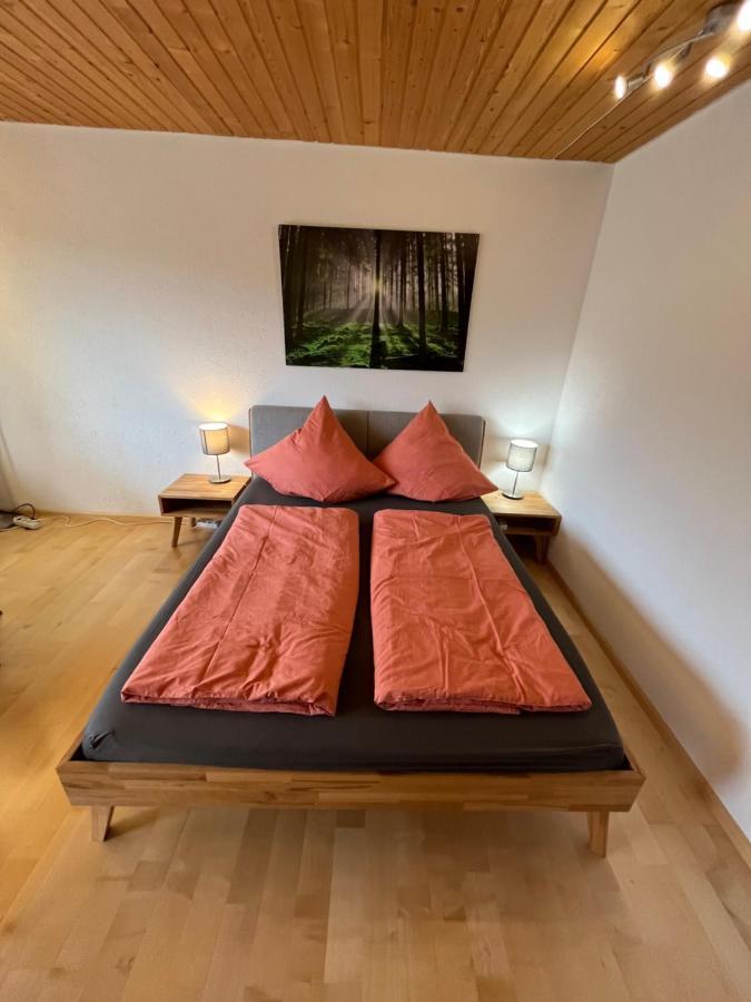 Haus Am Sonnenberg, Todtnauberg, Ferienwohnung 204, Direkt Am Skilift-Skipiste, Naehe Feldberg Exterior photo